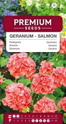 Geranium Salmon Seeds